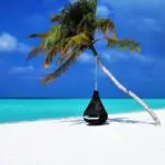 maldives, palm tree, hammock-3220702.jpg